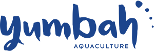 Yumbah Aquaculture