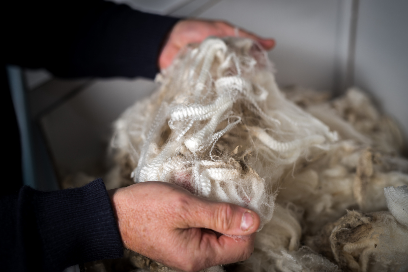 Australian Wool Export Fox & Lillie Rural