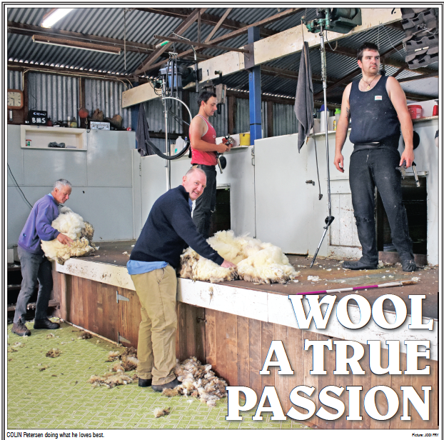Wool a True Passion