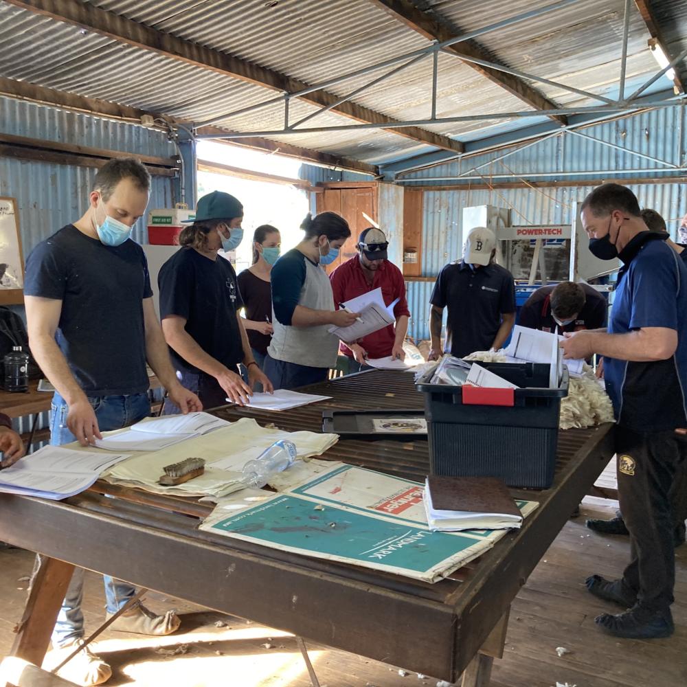 Wedderburn-introduction-to-shearing-course-2020