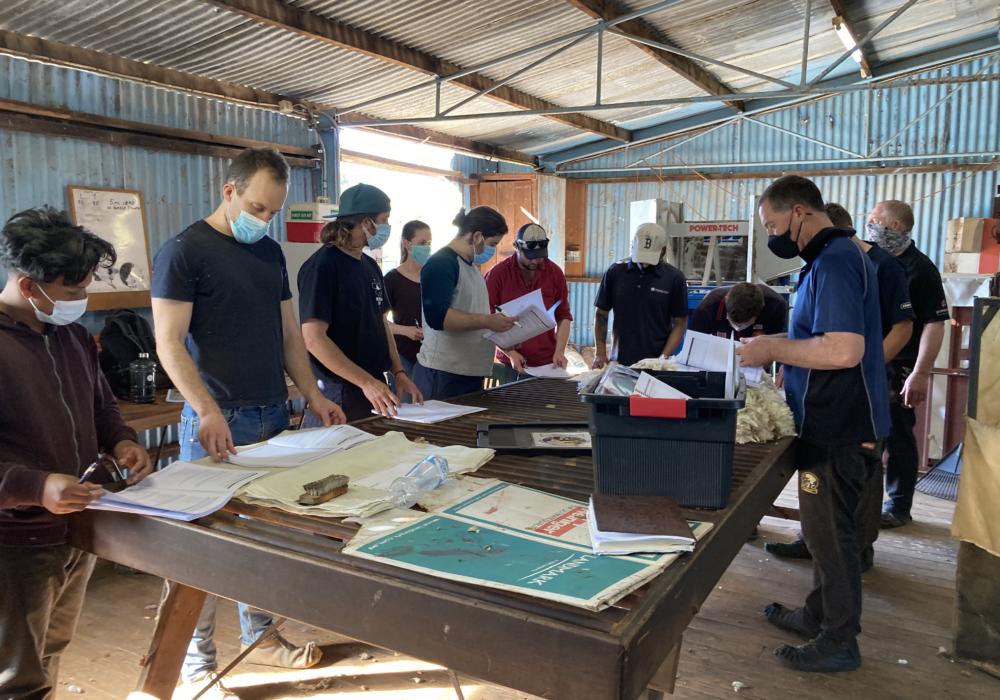 Wedderburn-introduction-to-shearing-course-2020