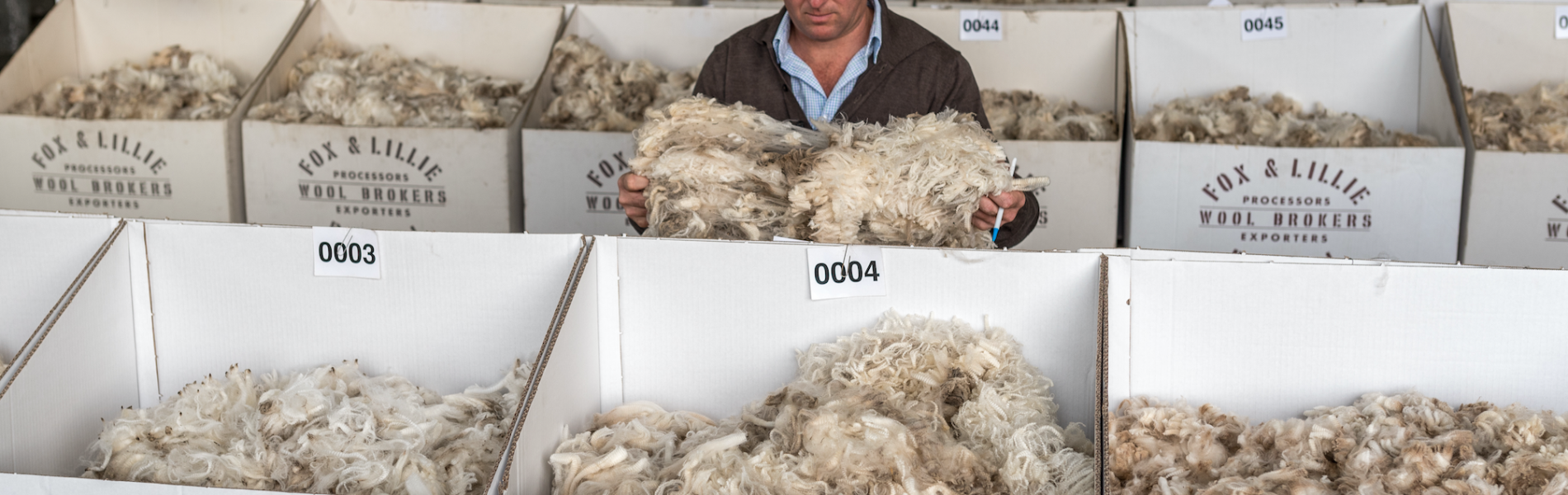 Wool Trading