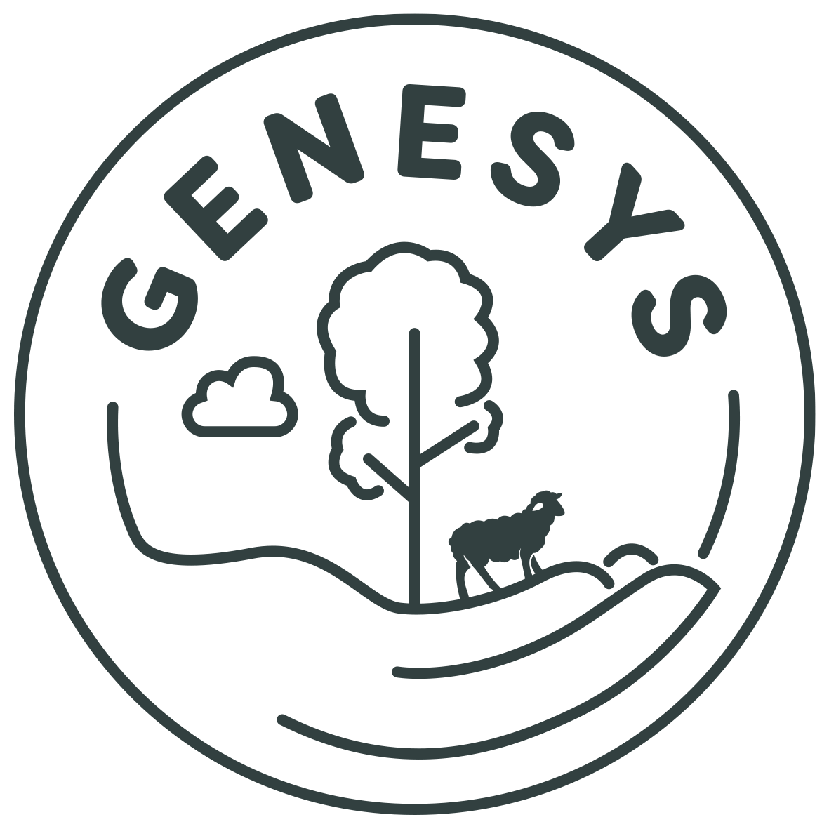 Genesys RWS Wool