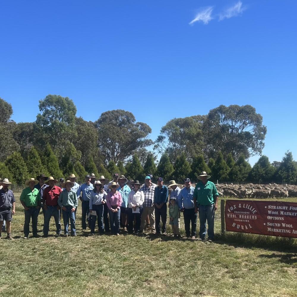 Sheep Classing and Ram Selection Workshops