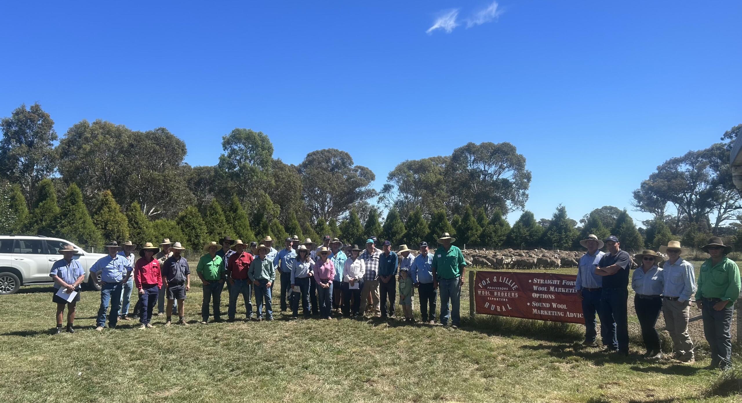 Sheep Classing and Ram Selection Workshops