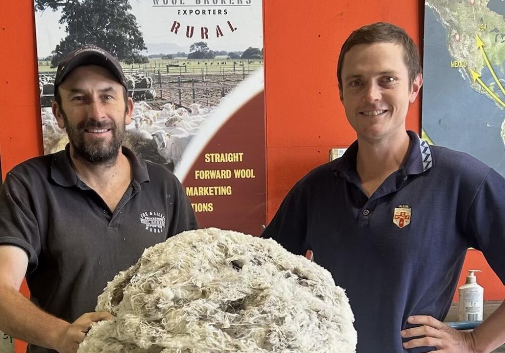 Two men holding australian ultrafine fleece, Fox and Lillie Ultrafine Fleece, Superfine merino wool, Ultrafine Merino Wool, Italy ultrafine wool, New England