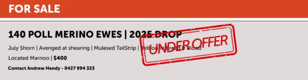 Under Offer (2)