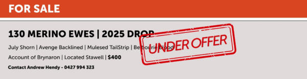 Under Offer